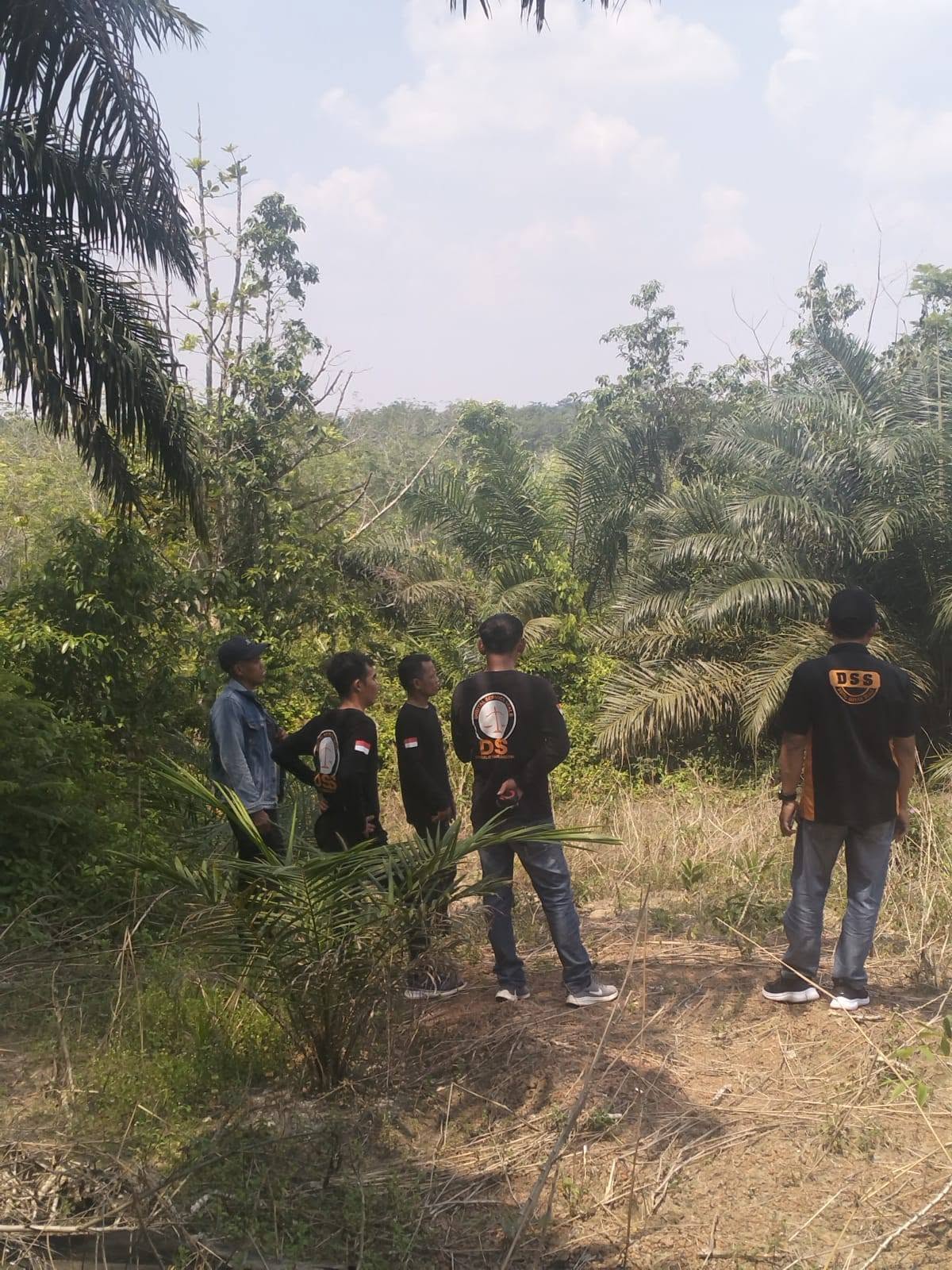 Service Timbangan